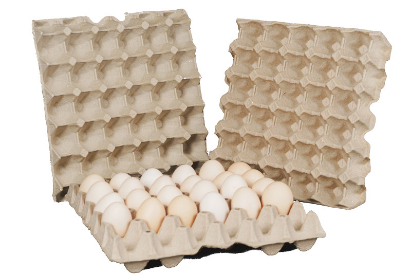 Pulp molding Pulp Molding