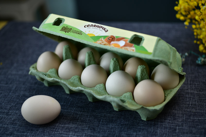 Pulp Egg Carton - Image 2