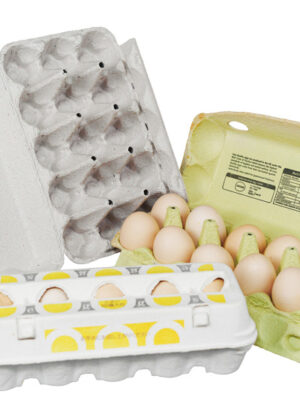 Pulp Egg Carton