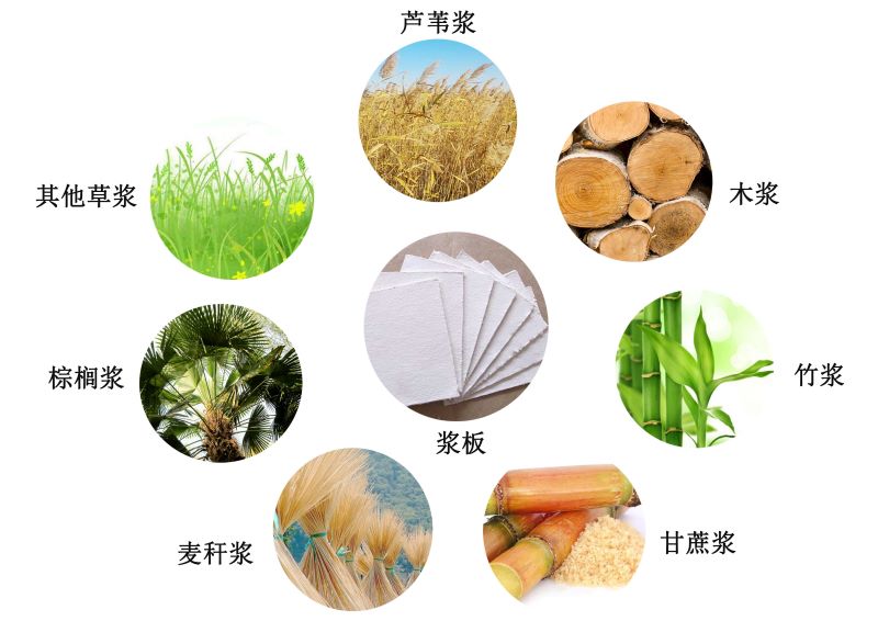 Pulp Molding Materials